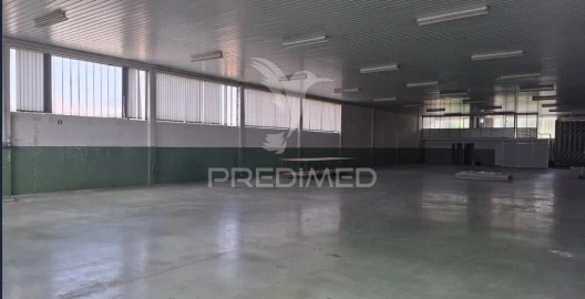 Armazém para Arrendamento em Candoso (São Martinho)