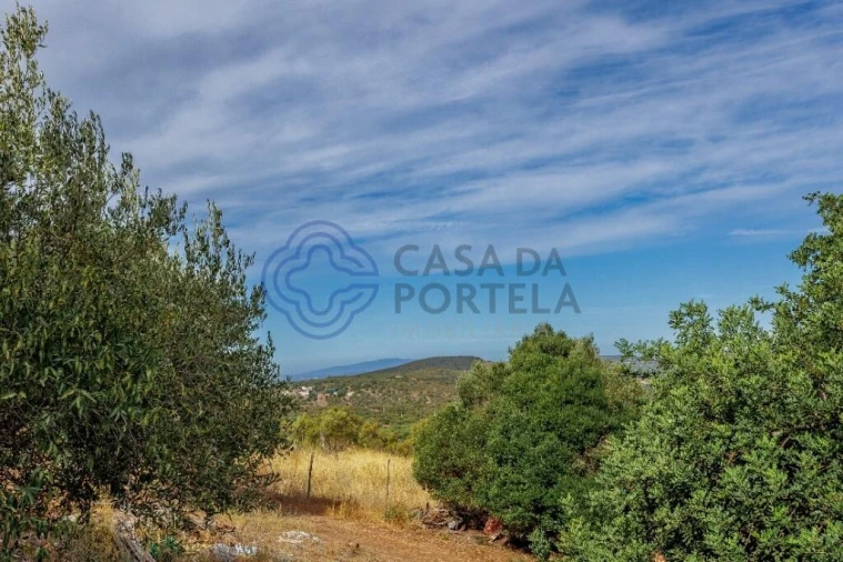 Moradia T1 para Venda em Querença, Tôr e Benafim Foto 33