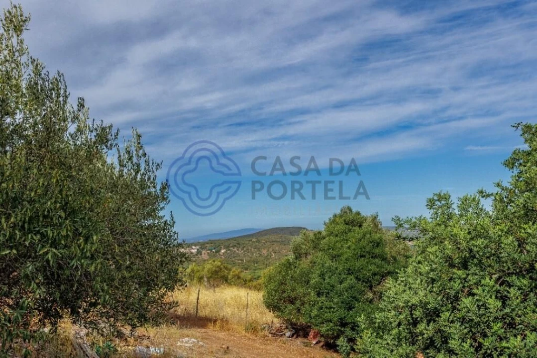 Moradia T1 para Venda em Querença, Tôr e Benafim Foto 33