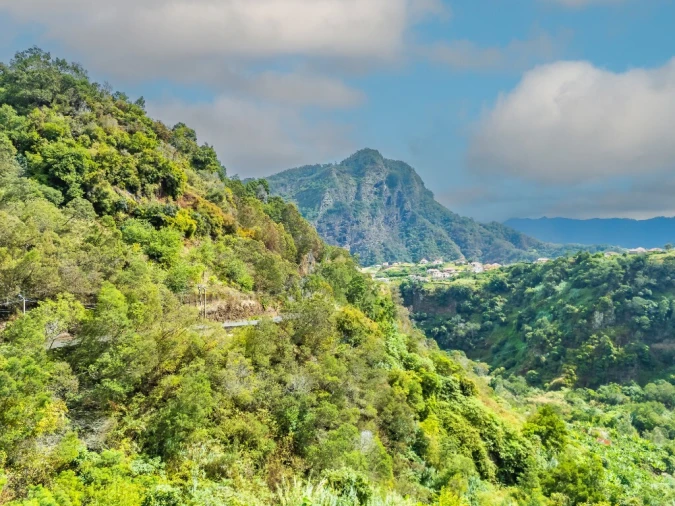 Moradia T3 para Venda em São Roque do Faial Foto 66