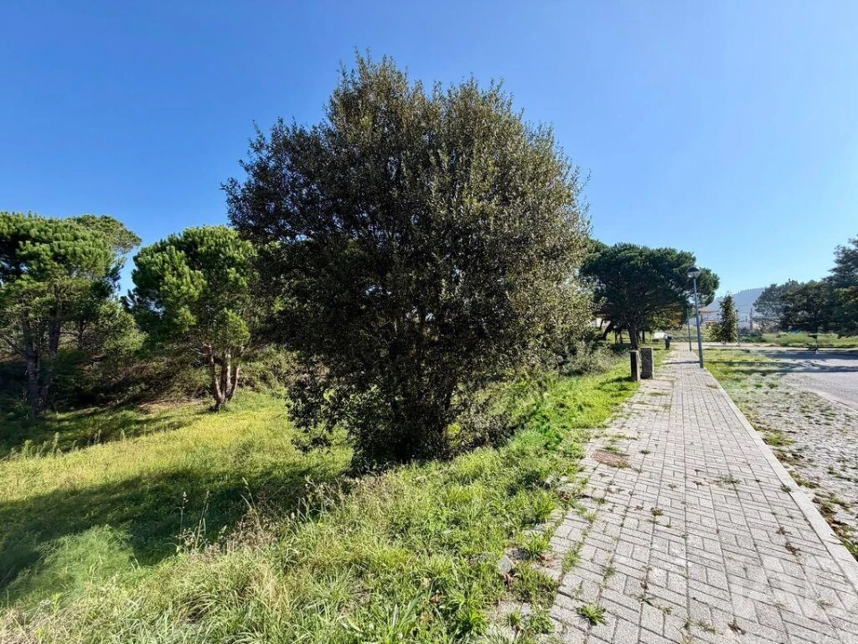 Terreno para Venda em Darque Foto 7