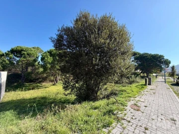 Terreno para Venda em Darque