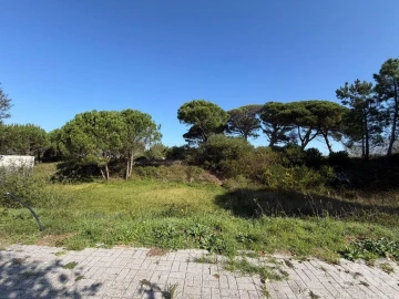 Terreno para Venda em Darque