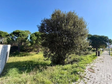 Terreno para Venda em Darque