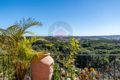 Moradia T4 para Venda em Santa Maria, São Pedro e Sobral da Lagoa