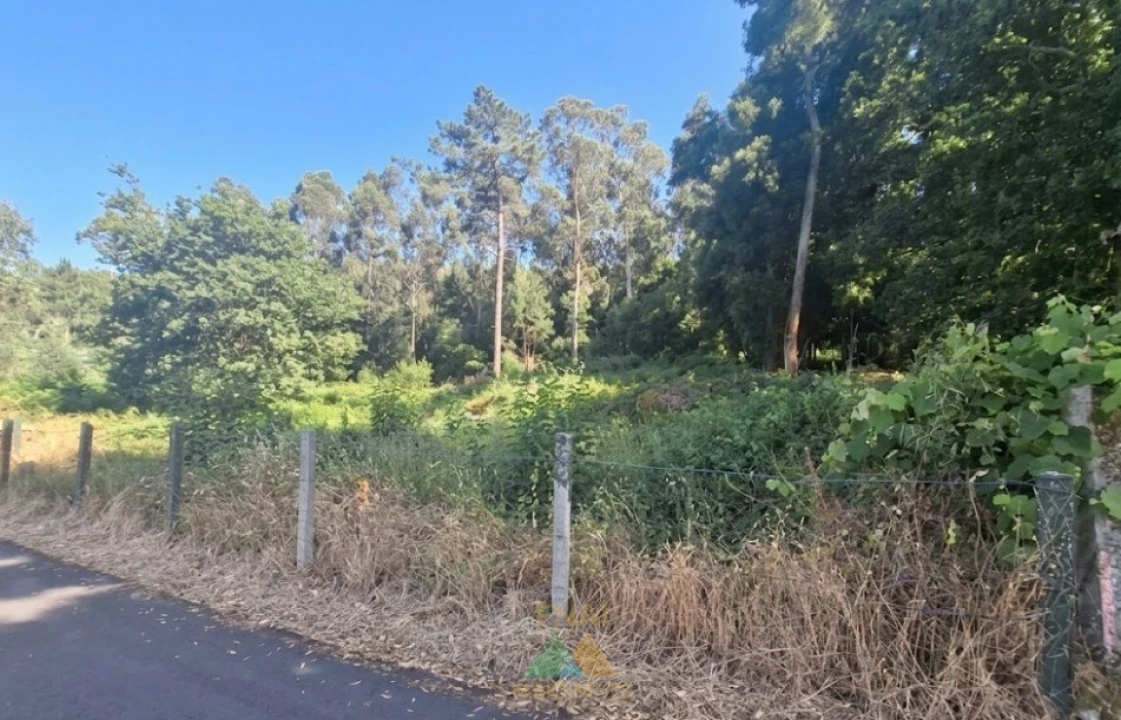 Terreno para Venda em Lanhelas Foto 4
