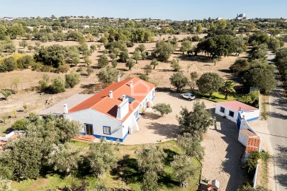 Quinta T5 para Venda em Arraiolos
