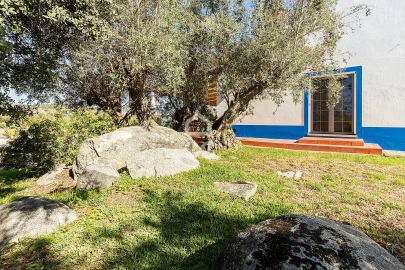 Quinta T5 para Venda em Arraiolos