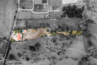 Quinta T5 para Venda em Arraiolos