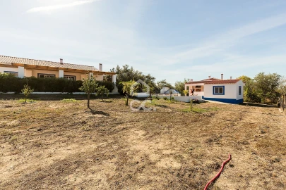 Quinta T5 para Venda em Arraiolos