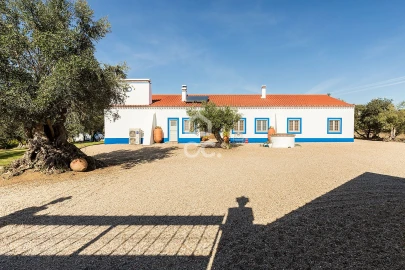 Quinta T5 para Venda em Arraiolos