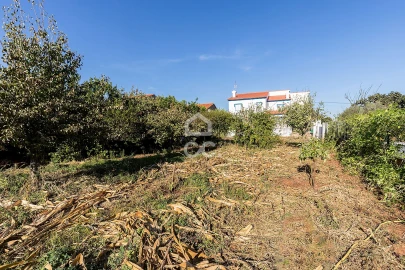 Moradia T4 para Venda em Rio de Moinhos