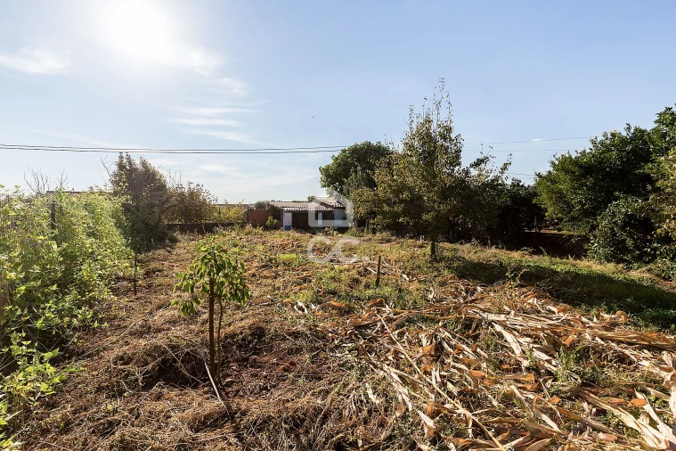 Moradia T4 para Venda em Rio de Moinhos Foto 50