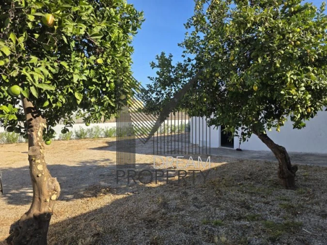 Moradia para Venda em Boliqueime Foto 10