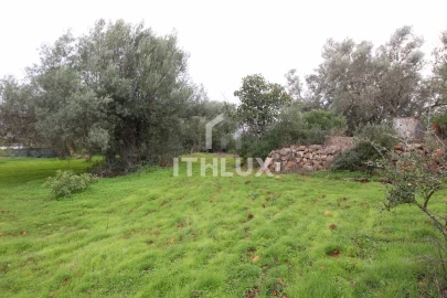 Terreno para Venda em Loule (São Clemente)