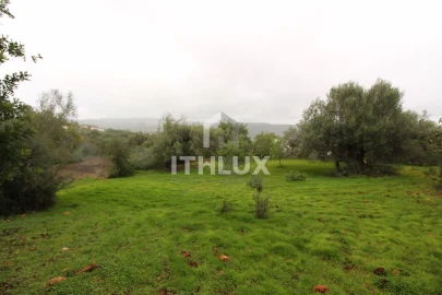 Terreno para Venda em Loule (São Clemente)