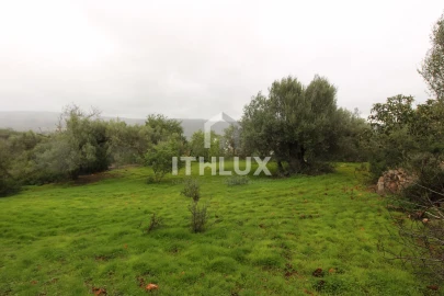 Terreno para Venda em Loule (São Clemente)