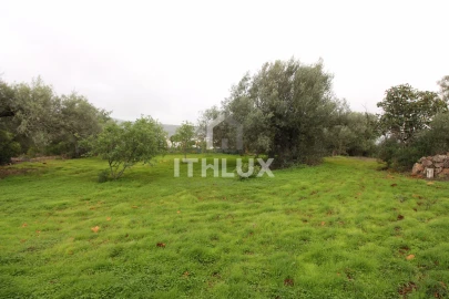 Terreno para Venda em Loule (São Clemente)