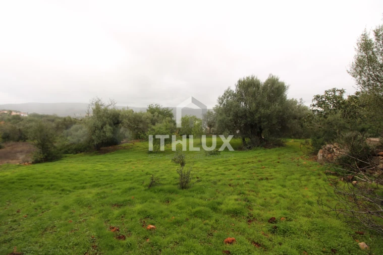 Terreno para Venda em Loule (São Clemente) Foto 10