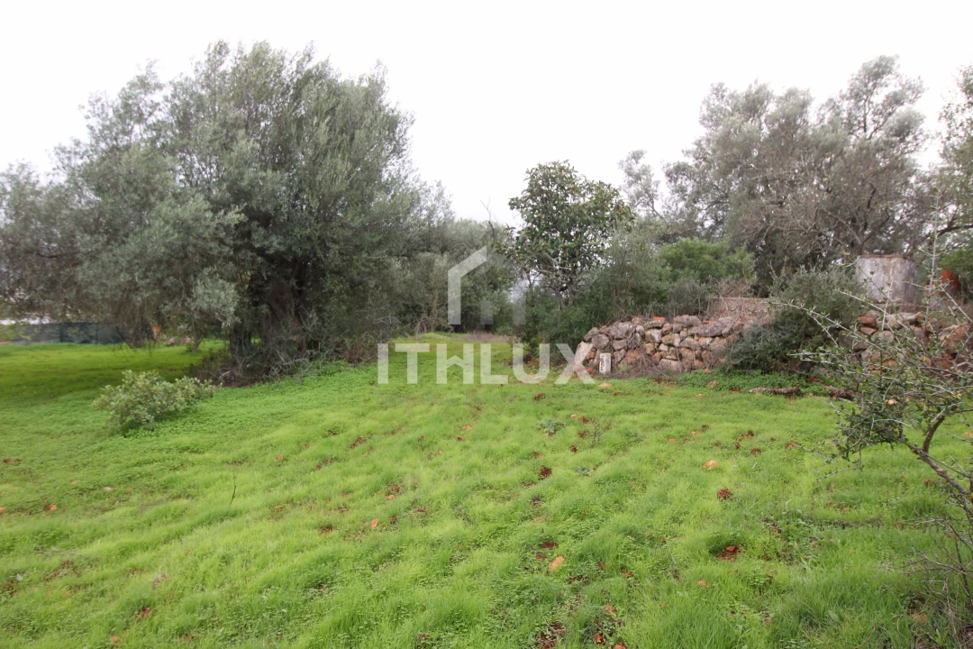 Terreno para Venda em Loule (São Clemente) Foto 4