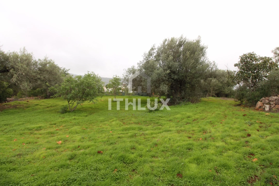 Terreno para Venda em Loule (São Clemente) Foto 5