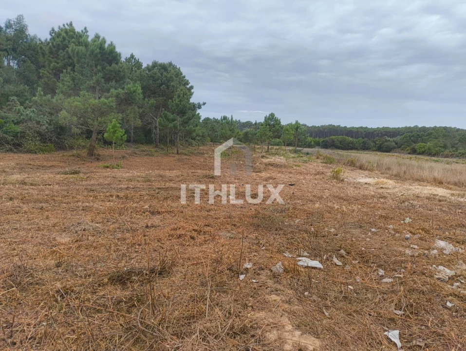 Terreno Agricola ou Rústico para Venda em Peniche Foto 14