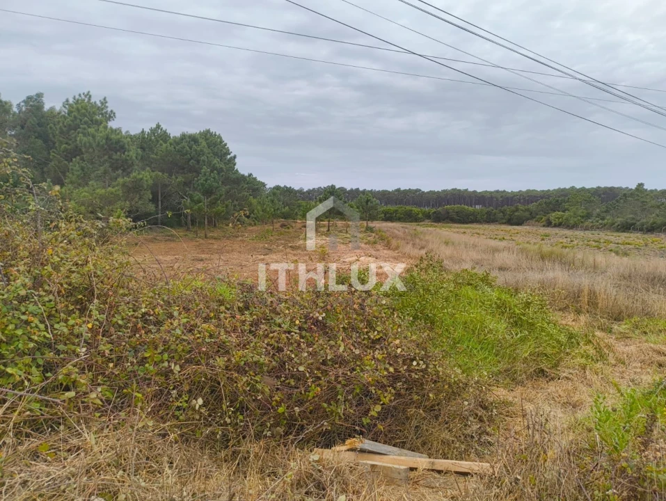 Terreno Agricola ou Rústico para Venda em Peniche Foto 18