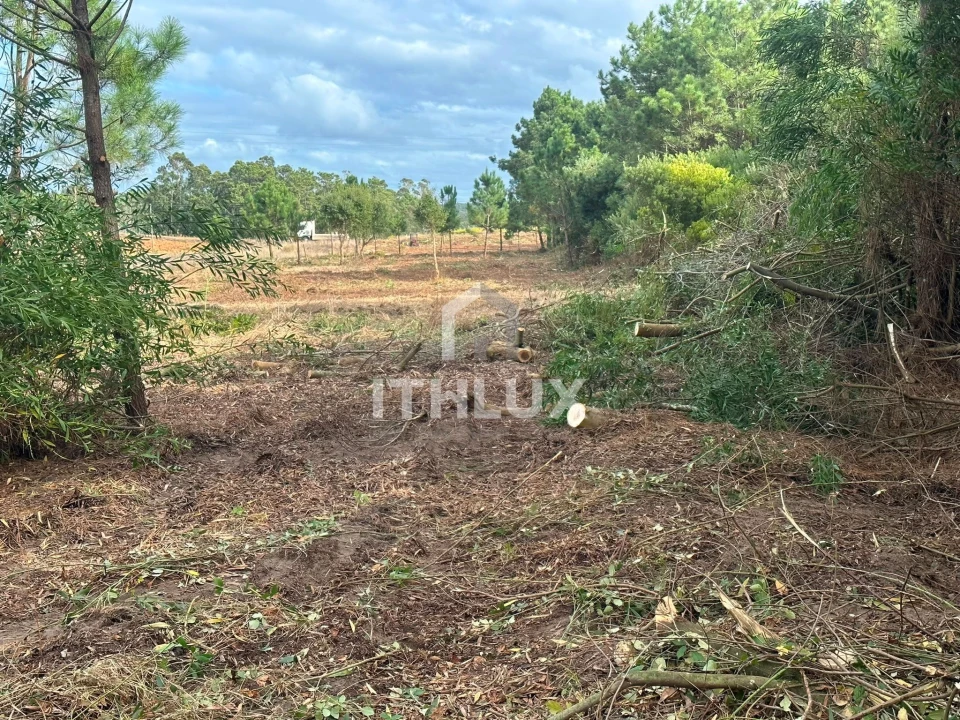 Terreno Agricola ou Rústico para Venda em Peniche Foto 1