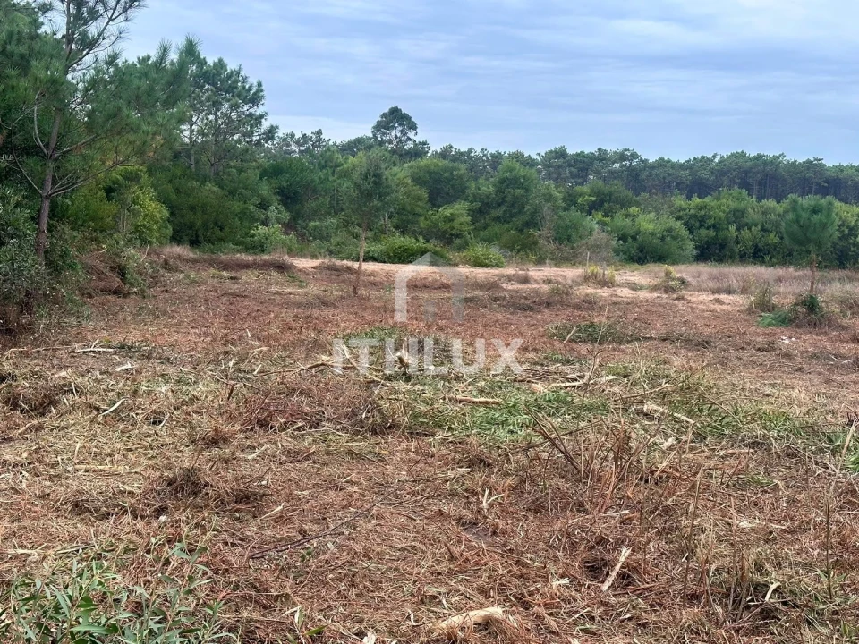 Terreno Agricola ou Rústico para Venda em Peniche Foto 8