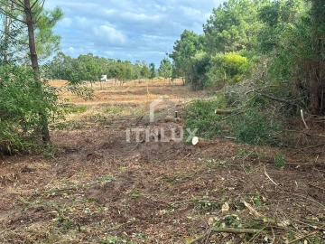 Terreno Agricola ou Rústico para Venda em Peniche