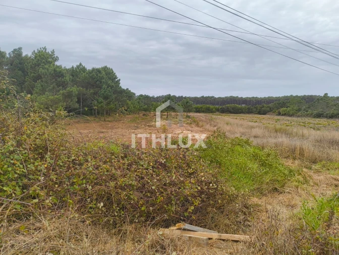 Terreno Agricola ou Rústico para Venda em Peniche Foto 18