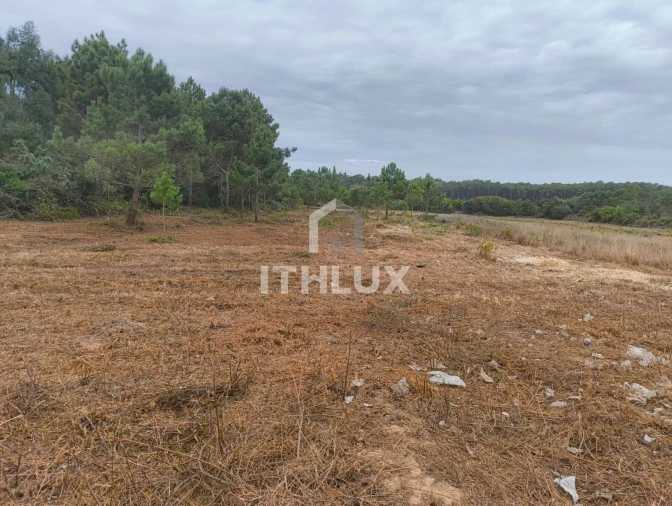 Terreno Agricola ou Rústico para Venda em Peniche Foto 10