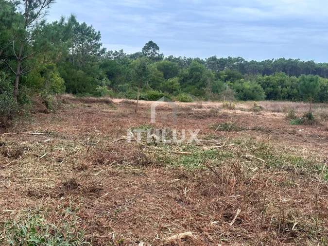 Terreno Agricola ou Rústico para Venda em Peniche Foto 8