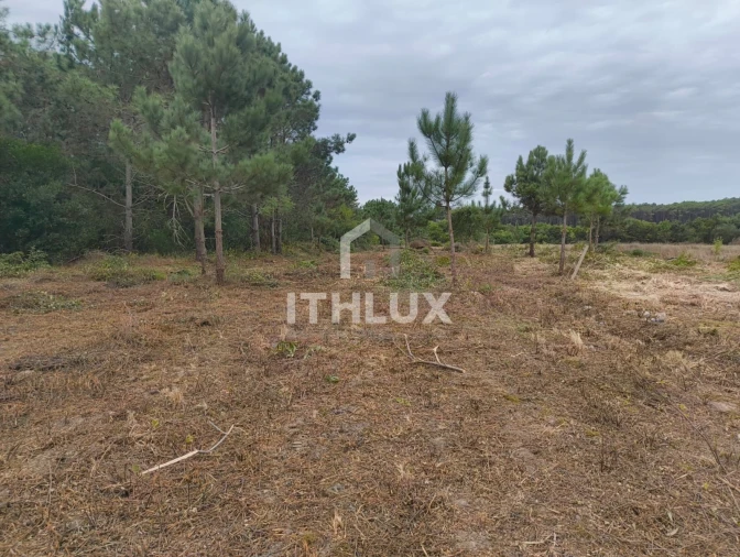 Terreno Agricola ou Rústico para Venda em Peniche Foto 9