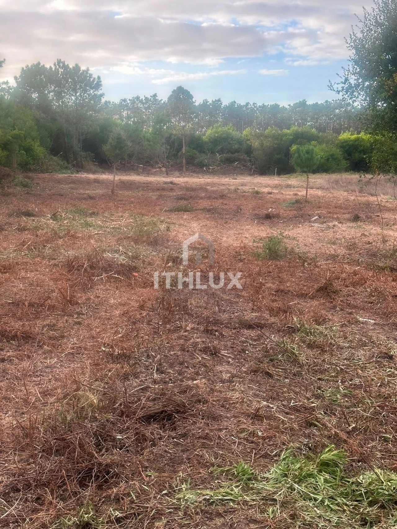 Terreno Agricola ou Rústico para Venda em Peniche Foto 6