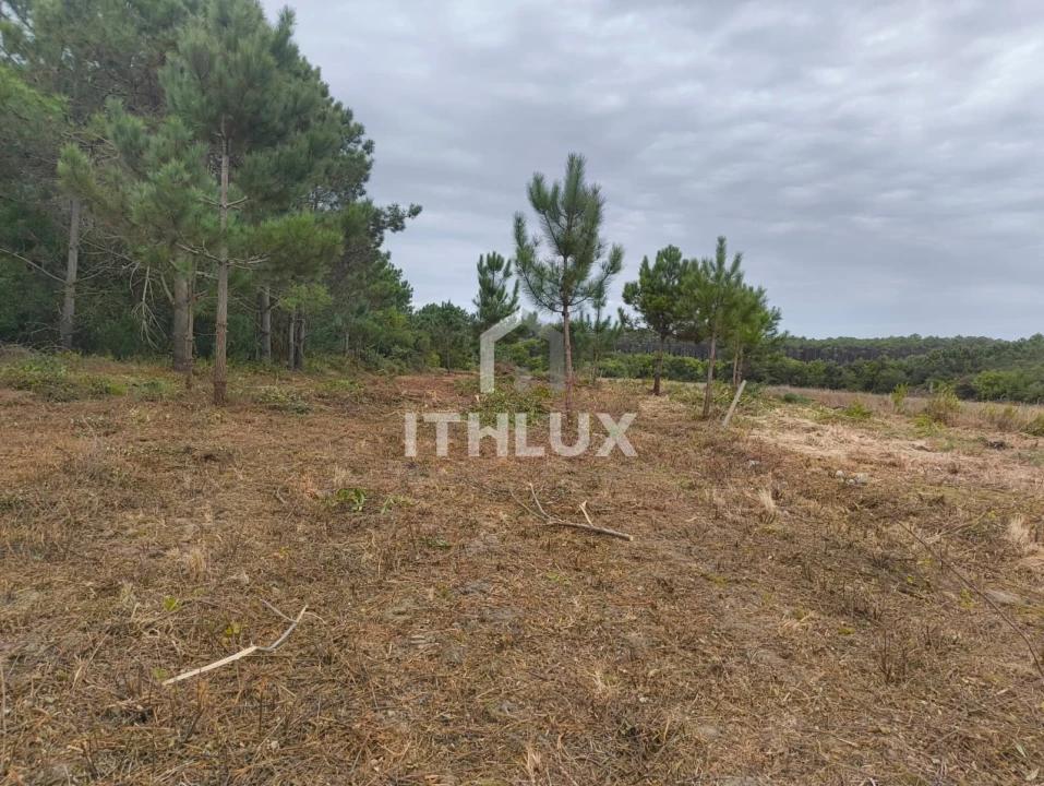 Terreno Agricola ou Rústico para Venda em Peniche Foto 16