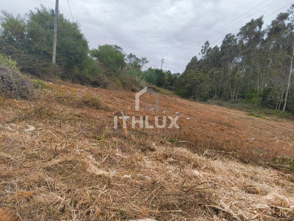 Terreno Agricola ou Rústico para Venda em Peniche Foto 17