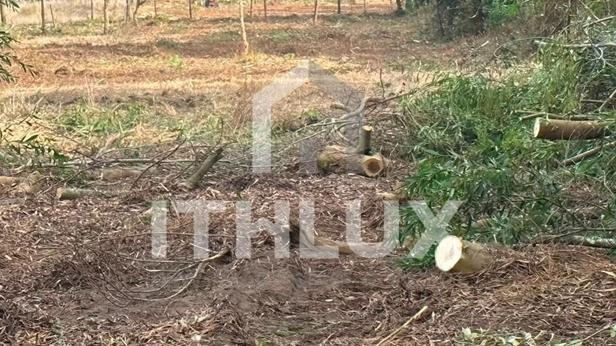 Terreno Agricola ou Rústico para Venda em Peniche