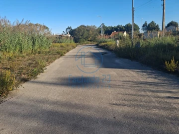 Terreno para Venda em Tornada e Salir do Porto