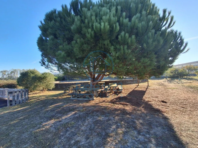 Terreno para Venda em Tornada e Salir do Porto Foto 7