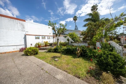 Quinta T4 para Venda em Nogueira e Silva Escura