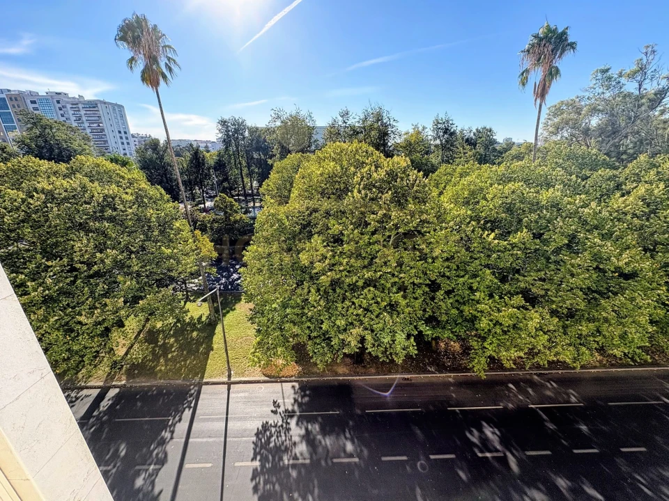 Apartamento T2 para Arrendamento em Alvalade Foto 15