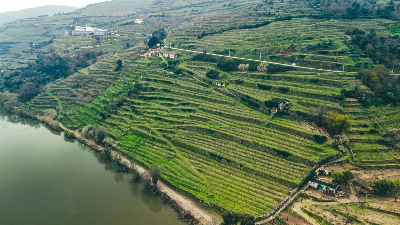 Terreno para Venda em Samodães Foto 1