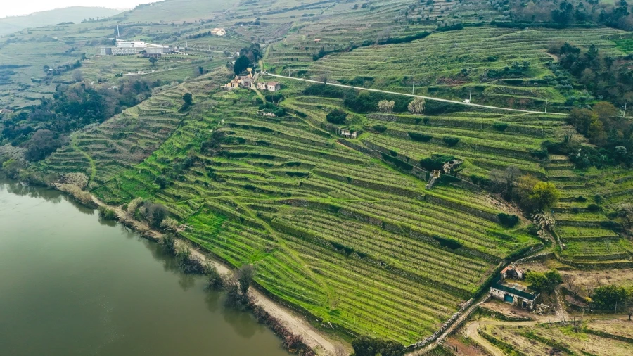 Terreno para Venda em Samodães