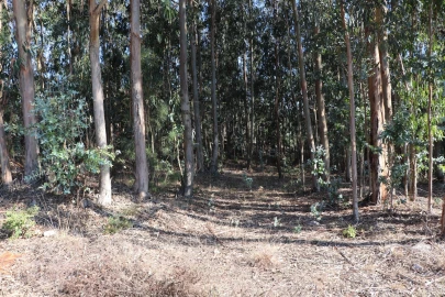 Terreno Comércio / Armazém para Venda em Lordelo