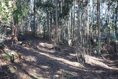 Terreno Comércio / Armazém para Venda em Lordelo