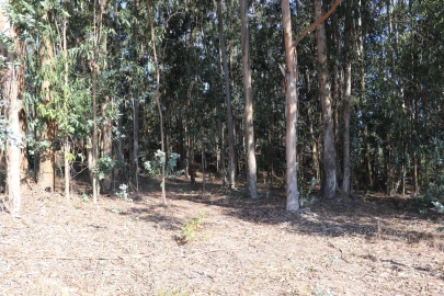 Terreno Comércio / Armazém para Venda em Lordelo