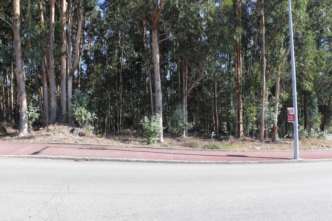 Terreno Comércio / Armazém para Venda em Lordelo Foto 6