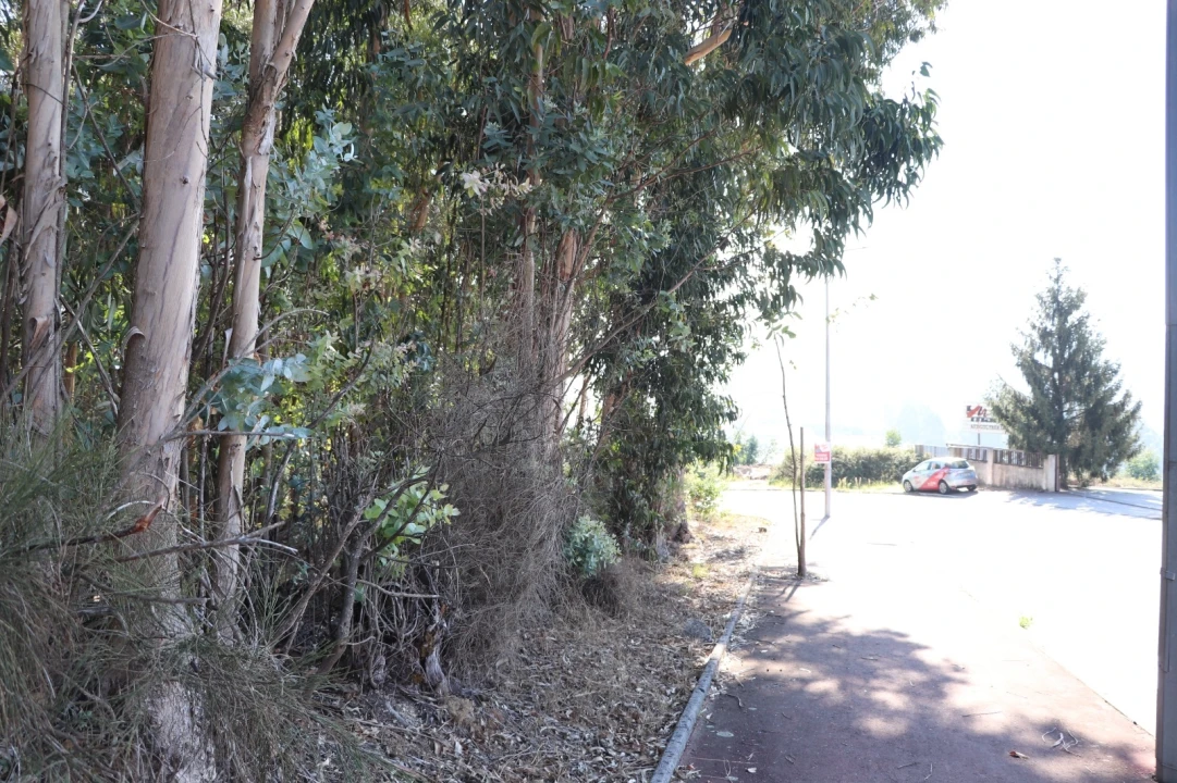 Terreno Comércio / Armazém para Venda em Lordelo Foto 11