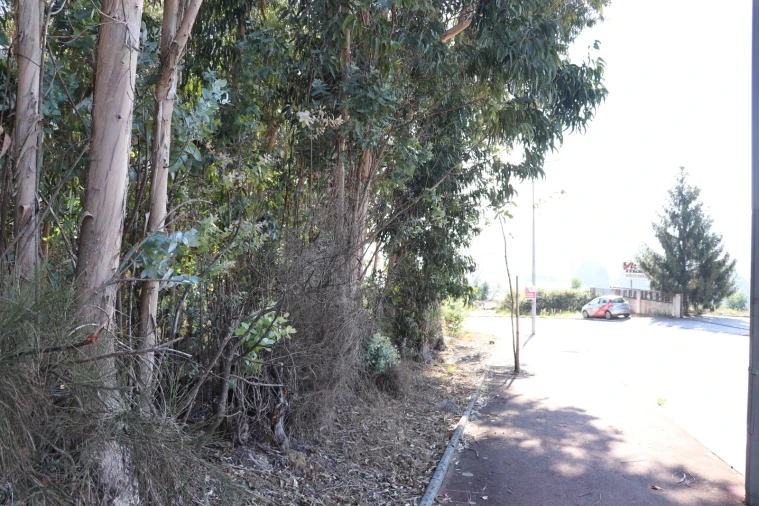 Terreno Comércio / Armazém para Venda em Lordelo Foto 11